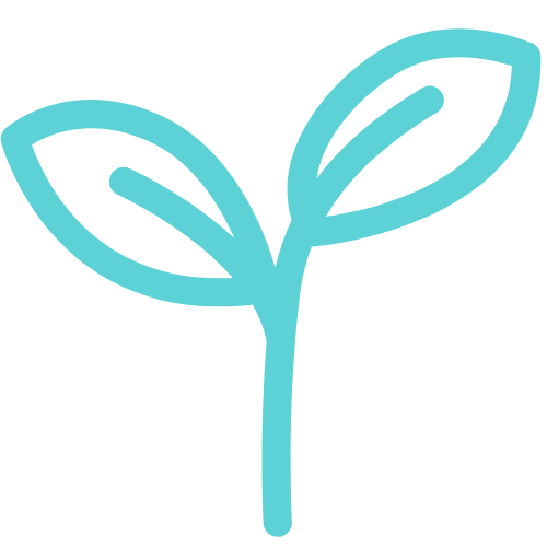 1ere consultation naturopathie en ligne
