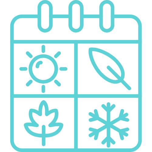 Accompagnement naturopathie au fil des saisons