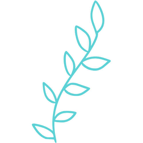 consultation suivi naturopathie en ligne